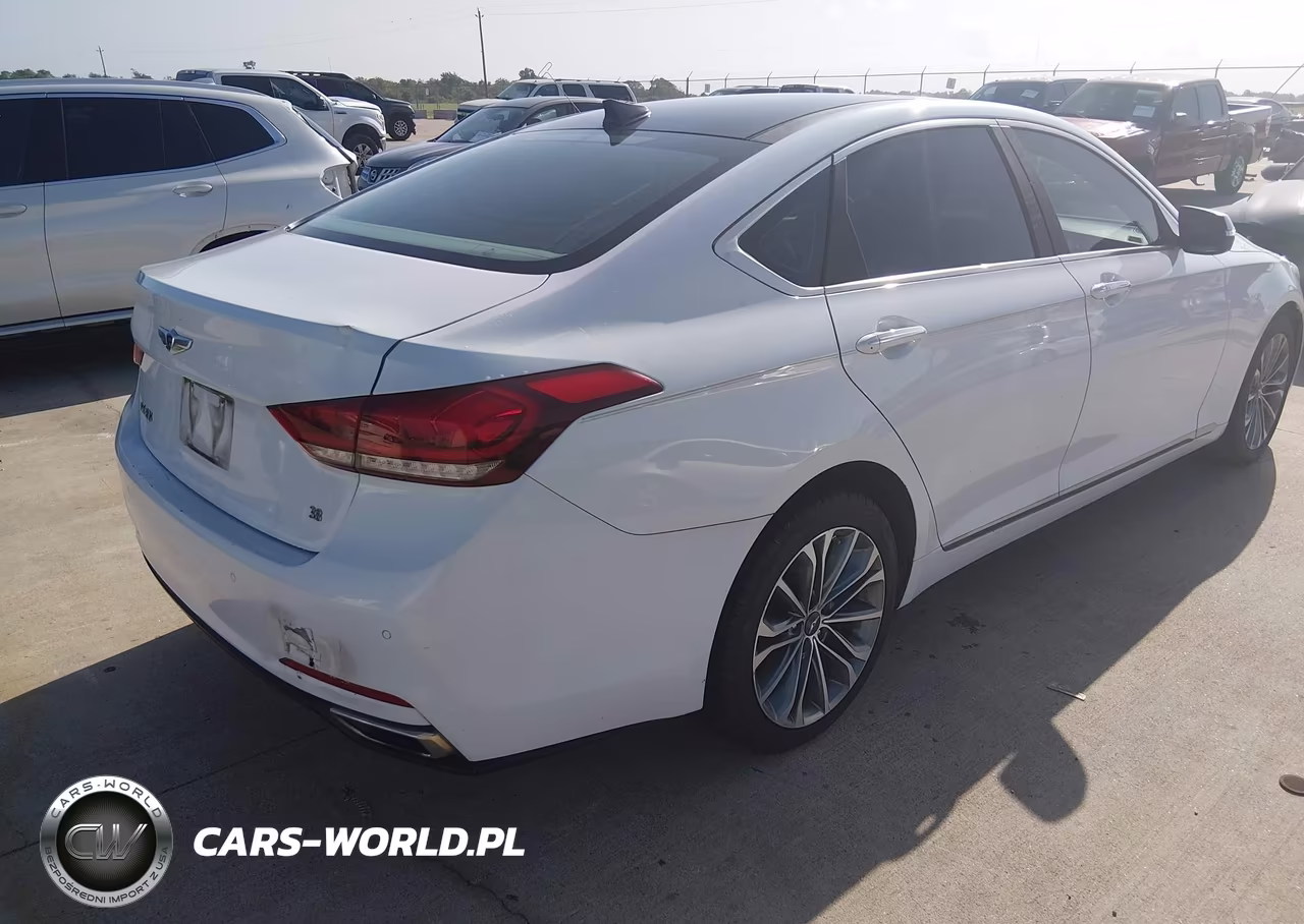 2016 Hyundai Genesis 3.8 VIN:KMHGN4JE9GU115230 - 4