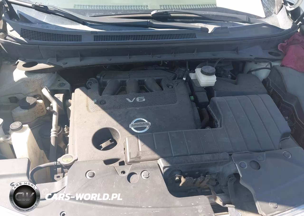 2009 Nissan Murano Sl VIN:JN8AZ18U49W027112 - 10