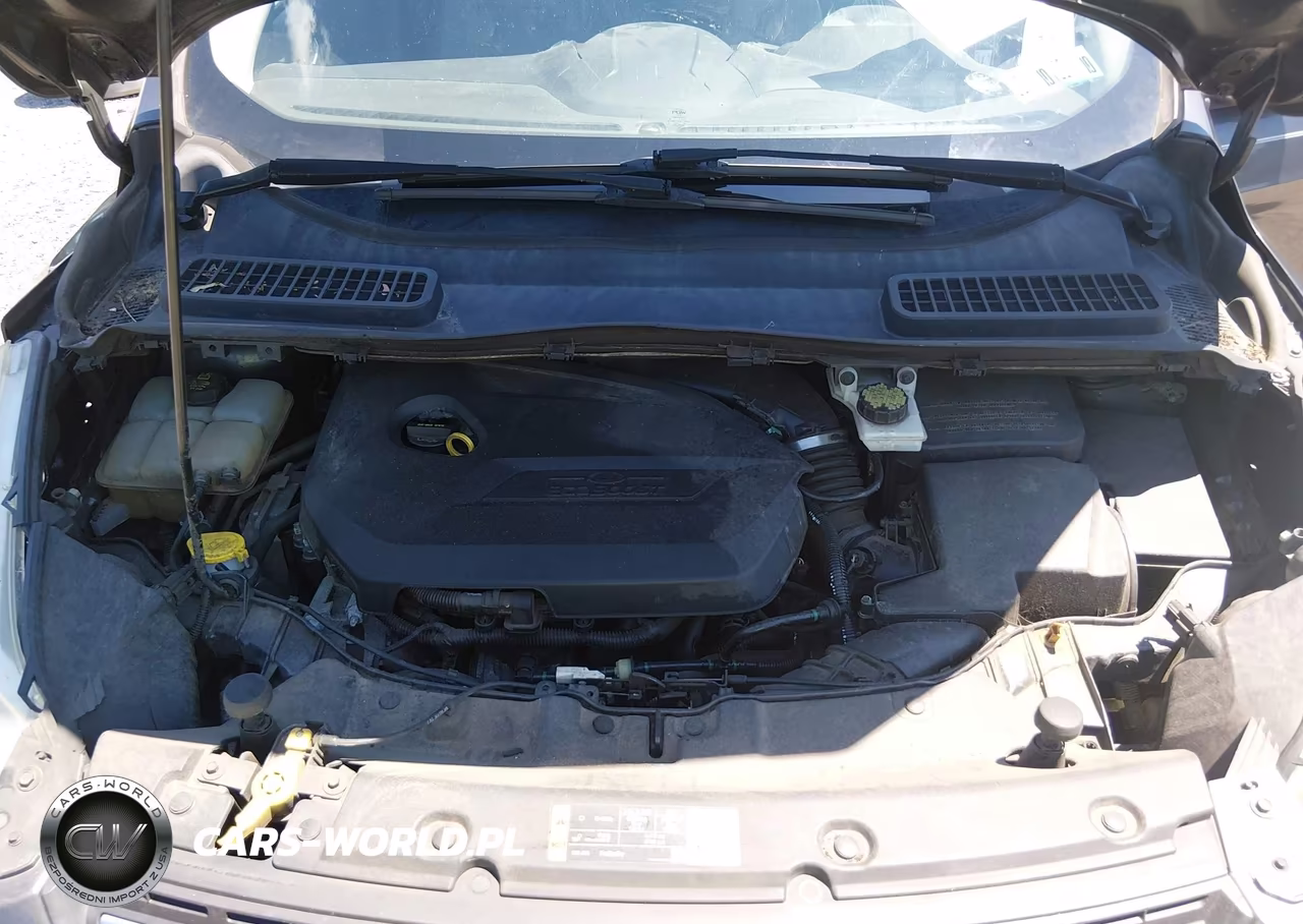 2015 Ford Escape Se VIN:1FMCU0GX0FUA02557 - 10