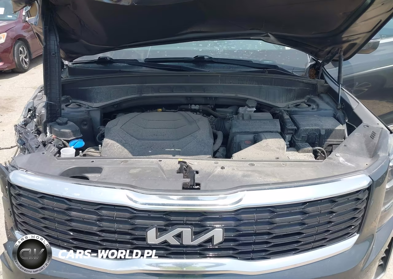 2022 Kia Telluride Ex VIN:5XYP3DHC8NG211461 - 10