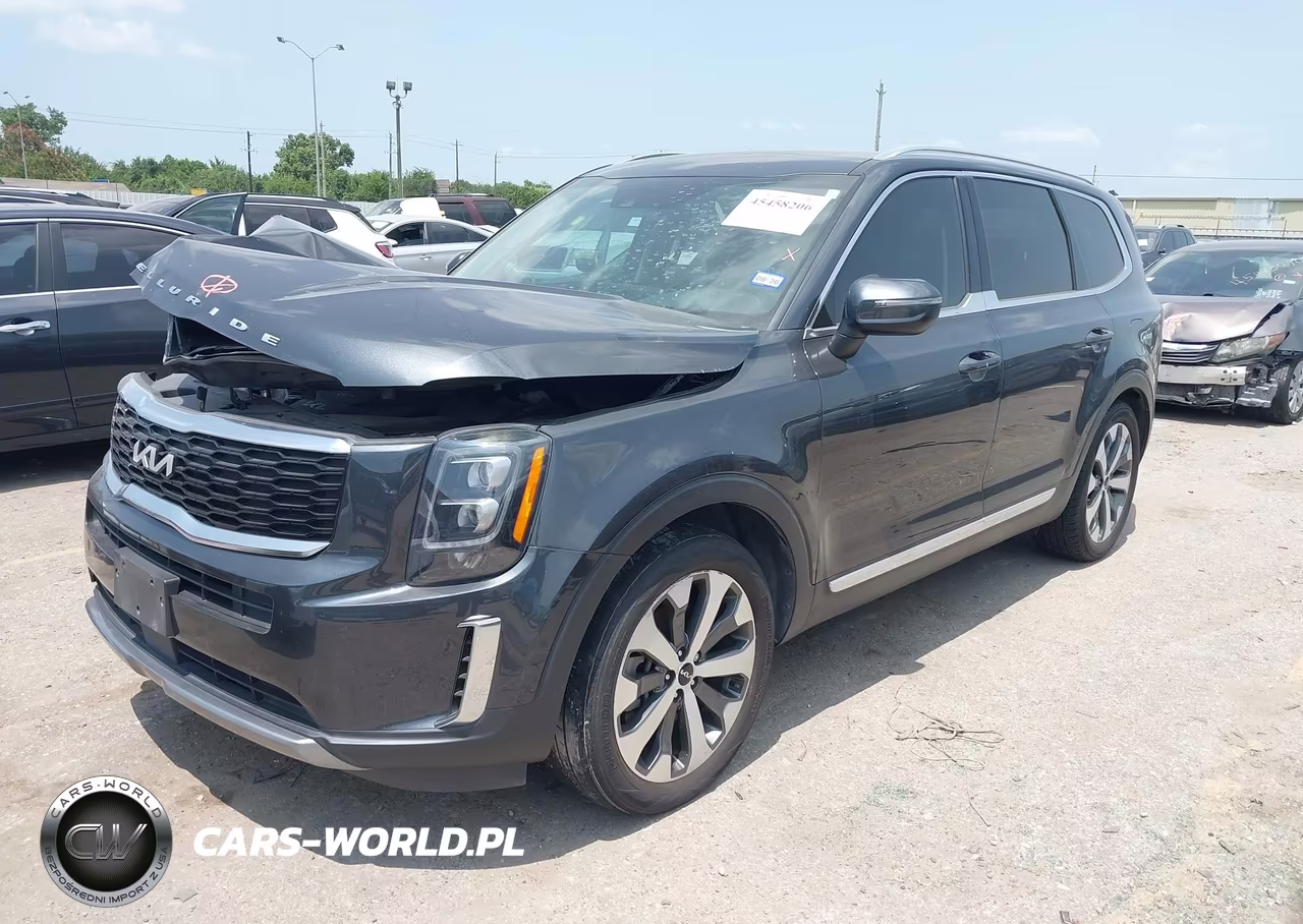 2022 Kia Telluride Ex VIN:5XYP3DHC8NG211461 - 2
