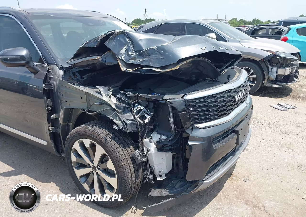 2022 Kia Telluride Ex VIN:5XYP3DHC8NG211461 - 6