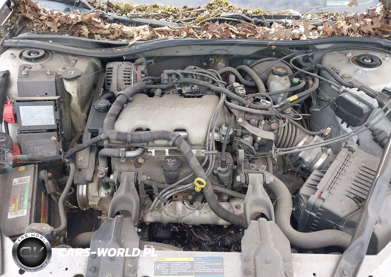 2005 Chevrolet Impala VIN:2G1WF52E959268520 - 10