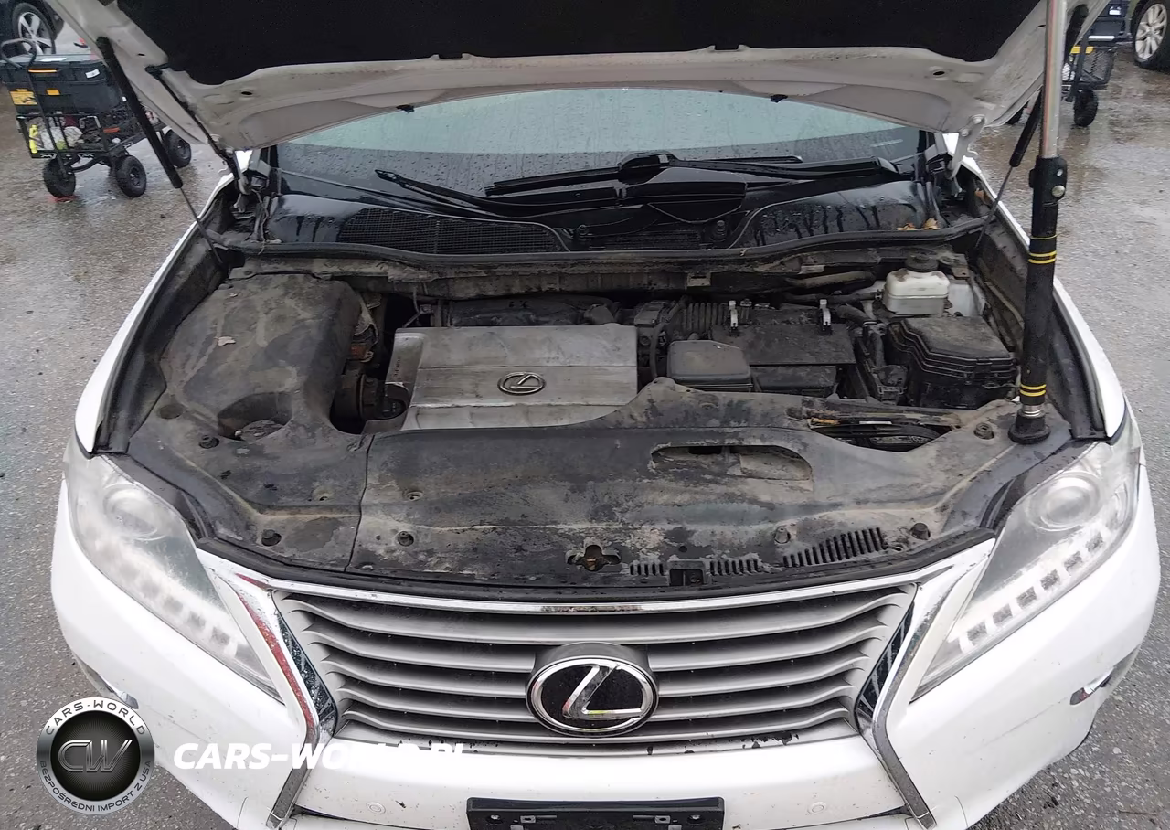 2013 Lexus Rx 350 VIN:2T2BK1BA4DC212664 - 10