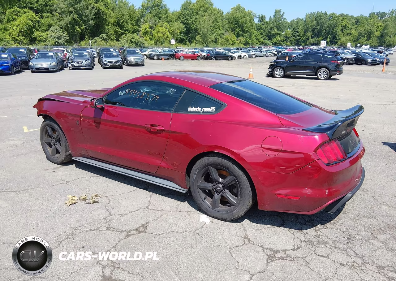 2016 Ford Mustang V6 VIN:1FA6P8AM1G5208073 - 3