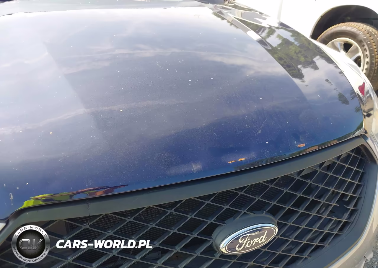 2016 Ford Police Interceptor VIN:1FAHP2MK5GG134547 - 19