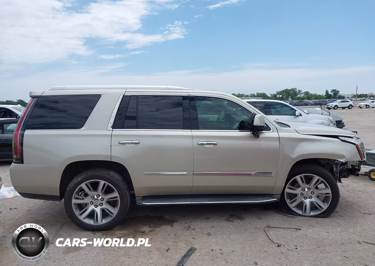 2016 Cadillac Escalade Luxury Collection VIN:1GYS3BKJ3GR107092 - 13