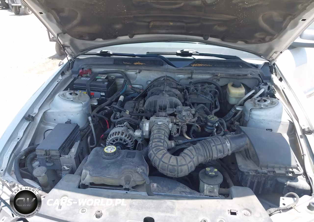 2008 Ford Mustang V6 Deluxe-V6 Premium VIN:1ZVHT80N885115798 - 10