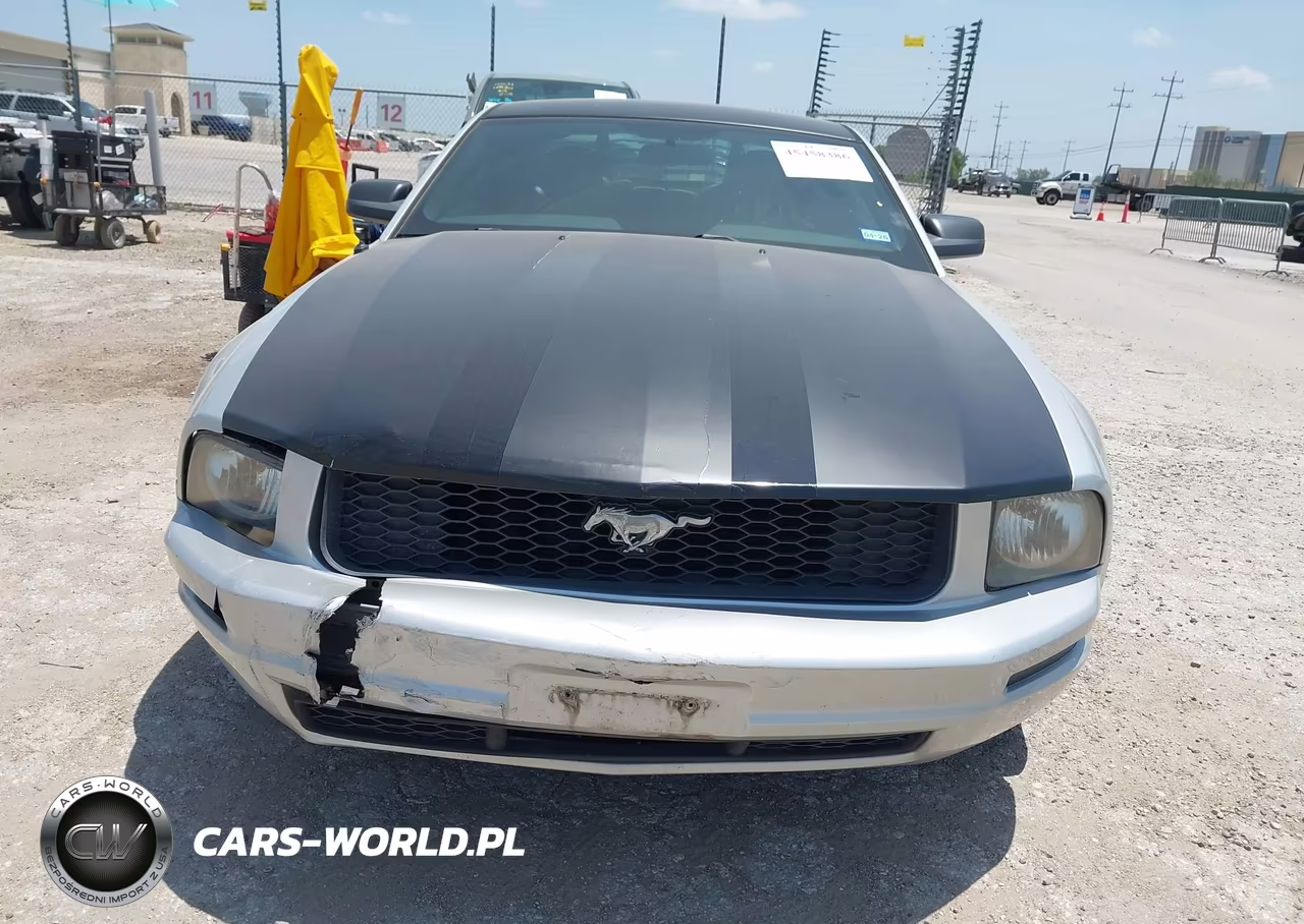2008 Ford Mustang V6 Deluxe-V6 Premium VIN:1ZVHT80N885115798 - 11