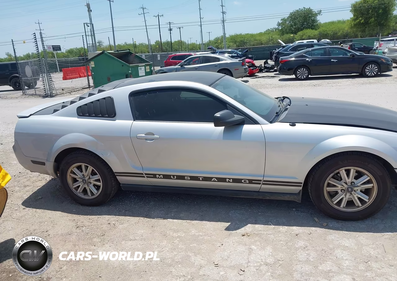 2008 Ford Mustang V6 Deluxe-V6 Premium VIN:1ZVHT80N885115798 - 12