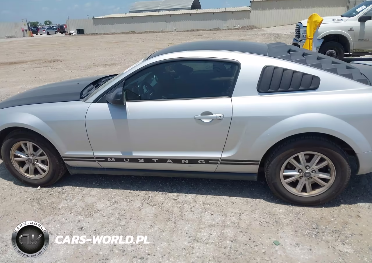 2008 Ford Mustang V6 Deluxe-V6 Premium VIN:1ZVHT80N885115798 - 13