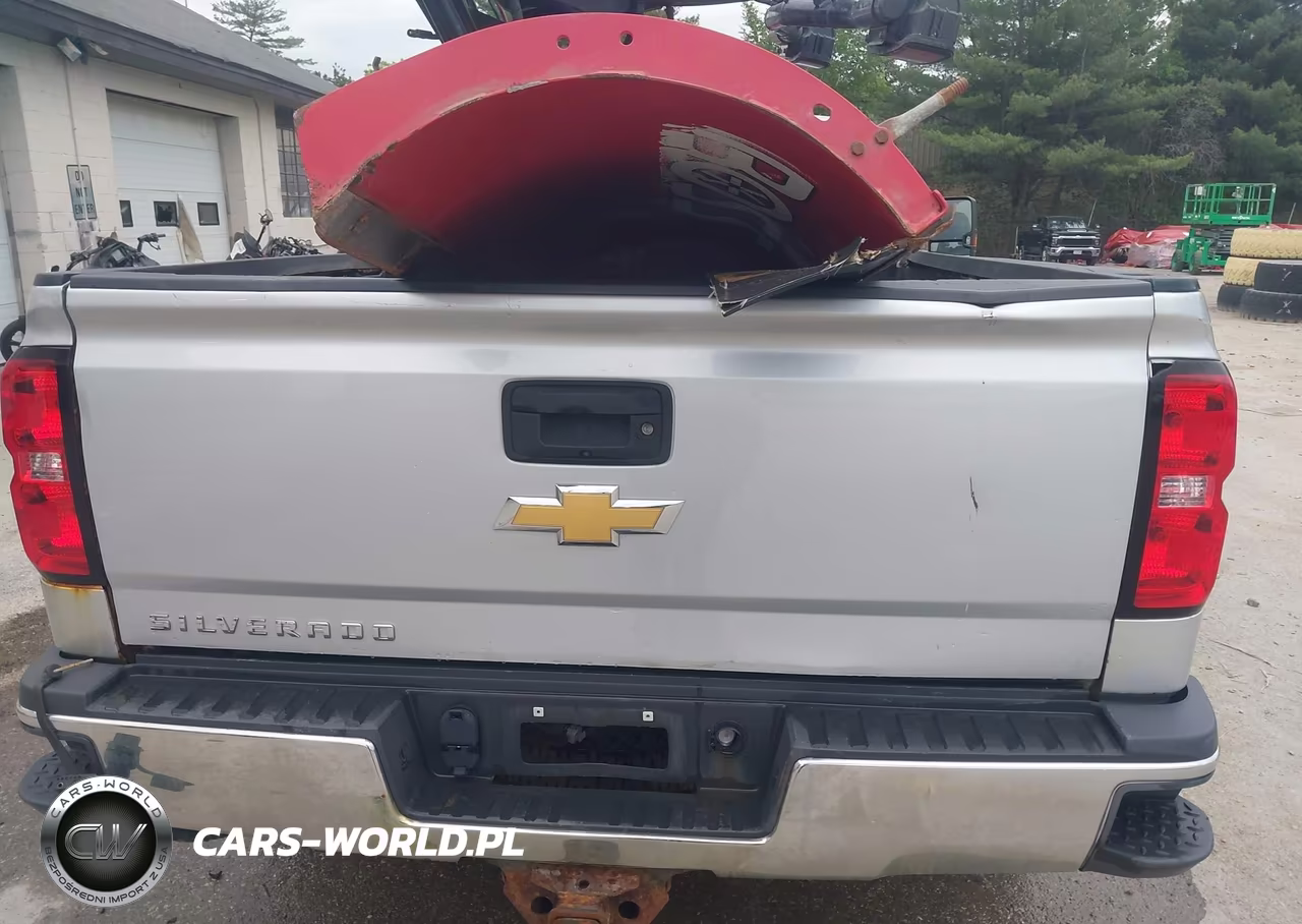 2017 Chevrolet Silverado 3500Hd Wt VIN:1GC3KYCG6HZ314743 - 12
