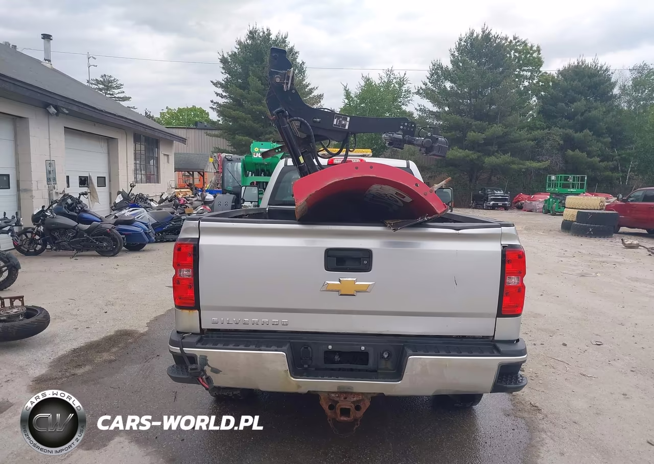 2017 Chevrolet Silverado 3500Hd Wt VIN:1GC3KYCG6HZ314743 - 20