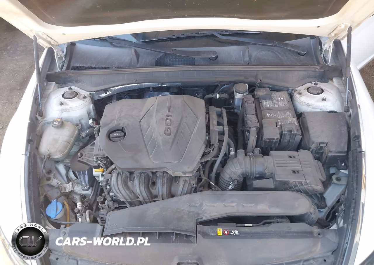 2020 Hyundai Sonata Se VIN:5NPEG4JA3LH014207 - 10