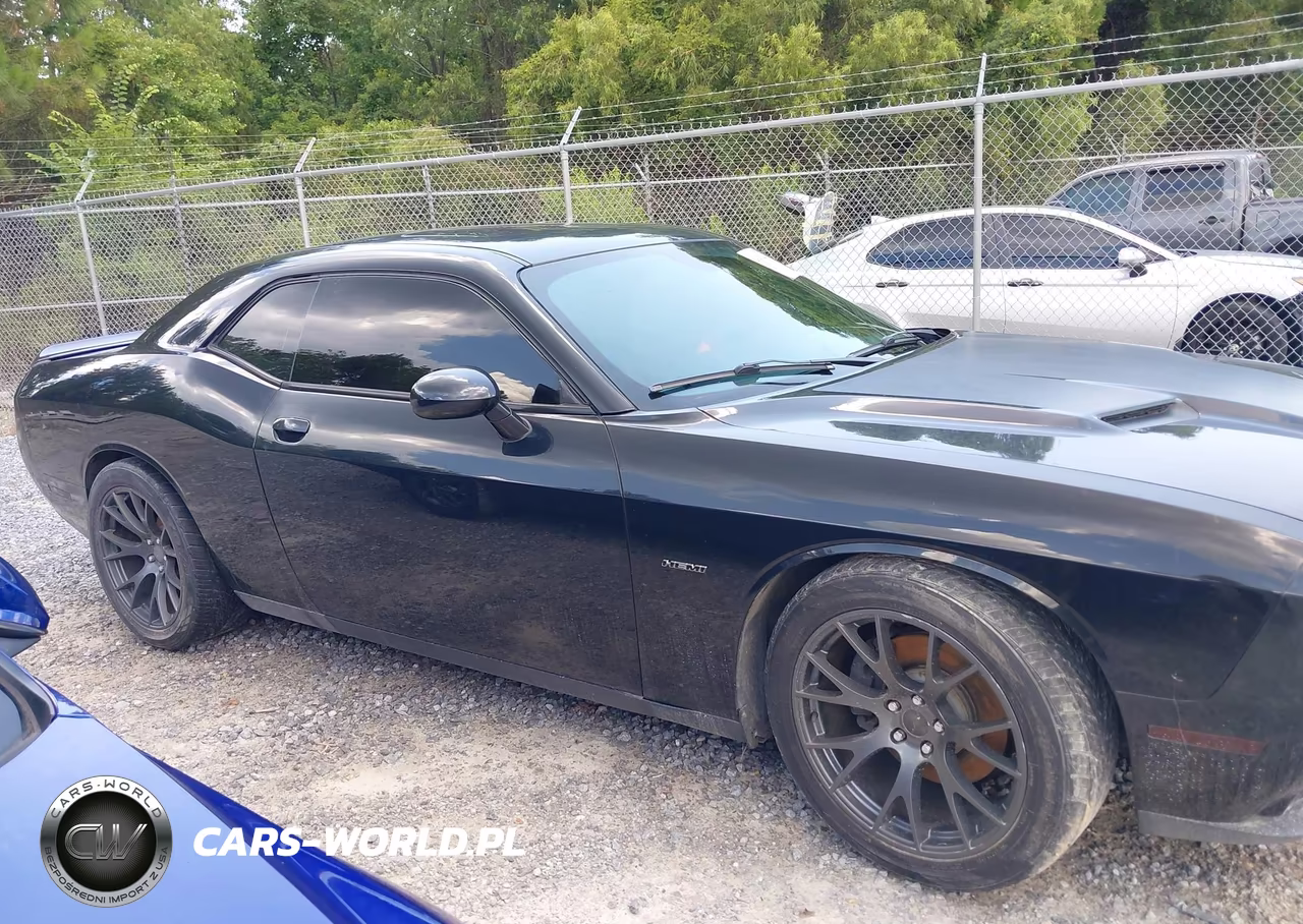 2015 Dodge Challenger R-T Plus VIN:2C3CDZBT5FH717225 - 13