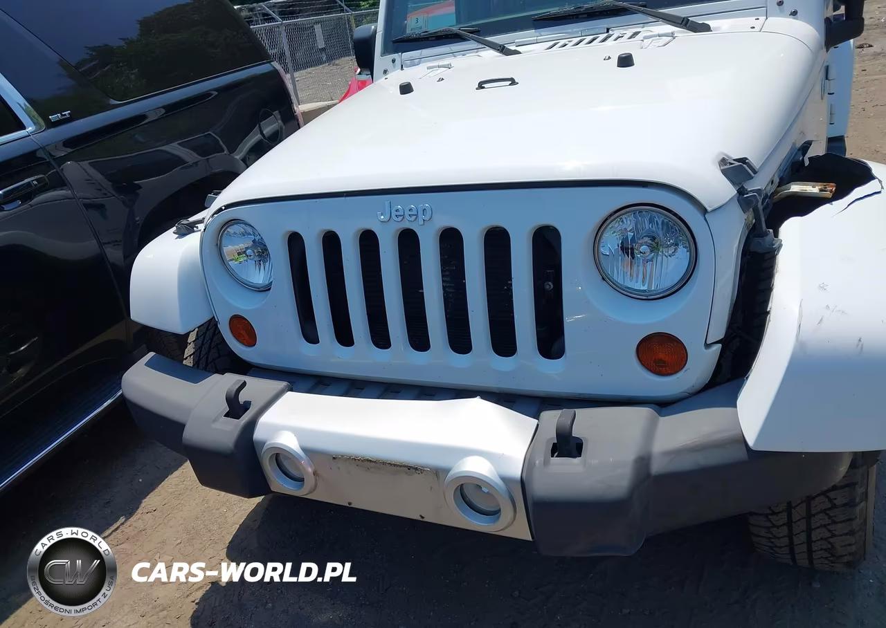 2013 Jeep Wrangler Unlimited Sahara VIN:1C4HJWEG6DL502704 - 12