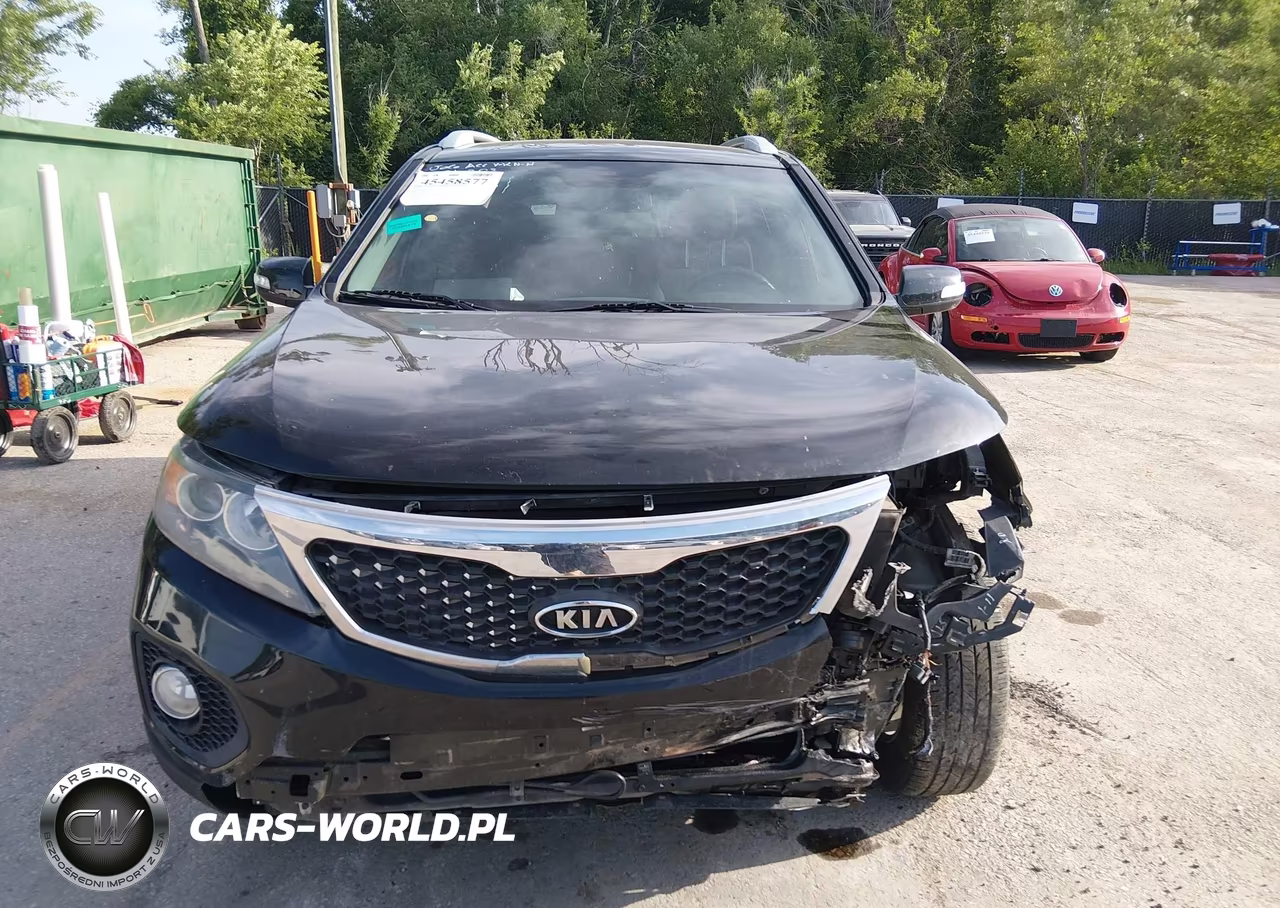 2013 Kia Sorento Lx VIN:5XYKT3A64DG423426 - 12
