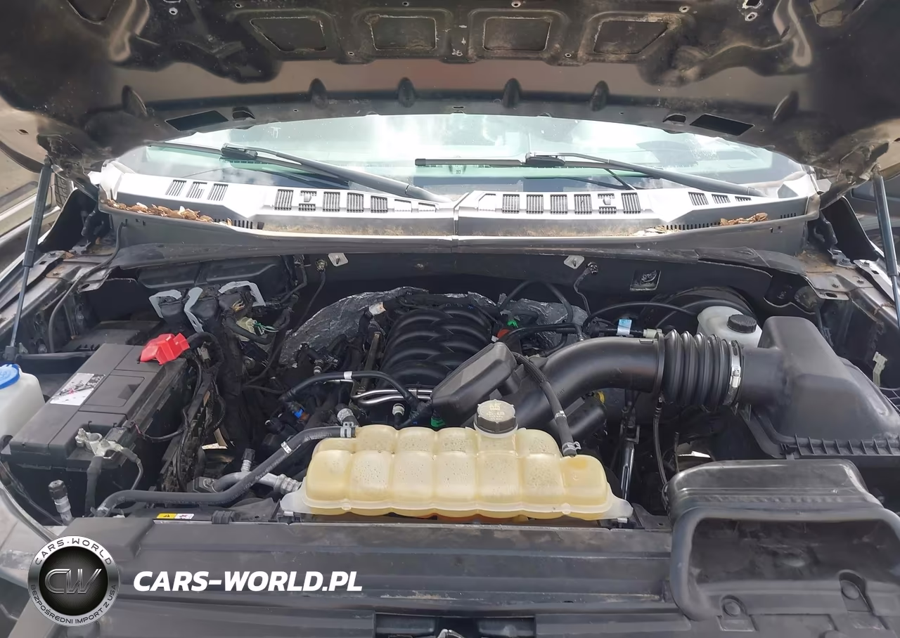 2019 Ford F-150 Xl VIN:1FTEW1C52KKE91793 - 10