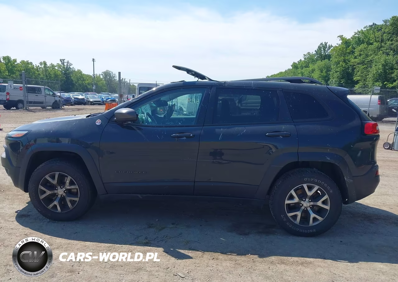2017 Jeep Cherokee VIN:1C4PJMBB6HW551494 - 14