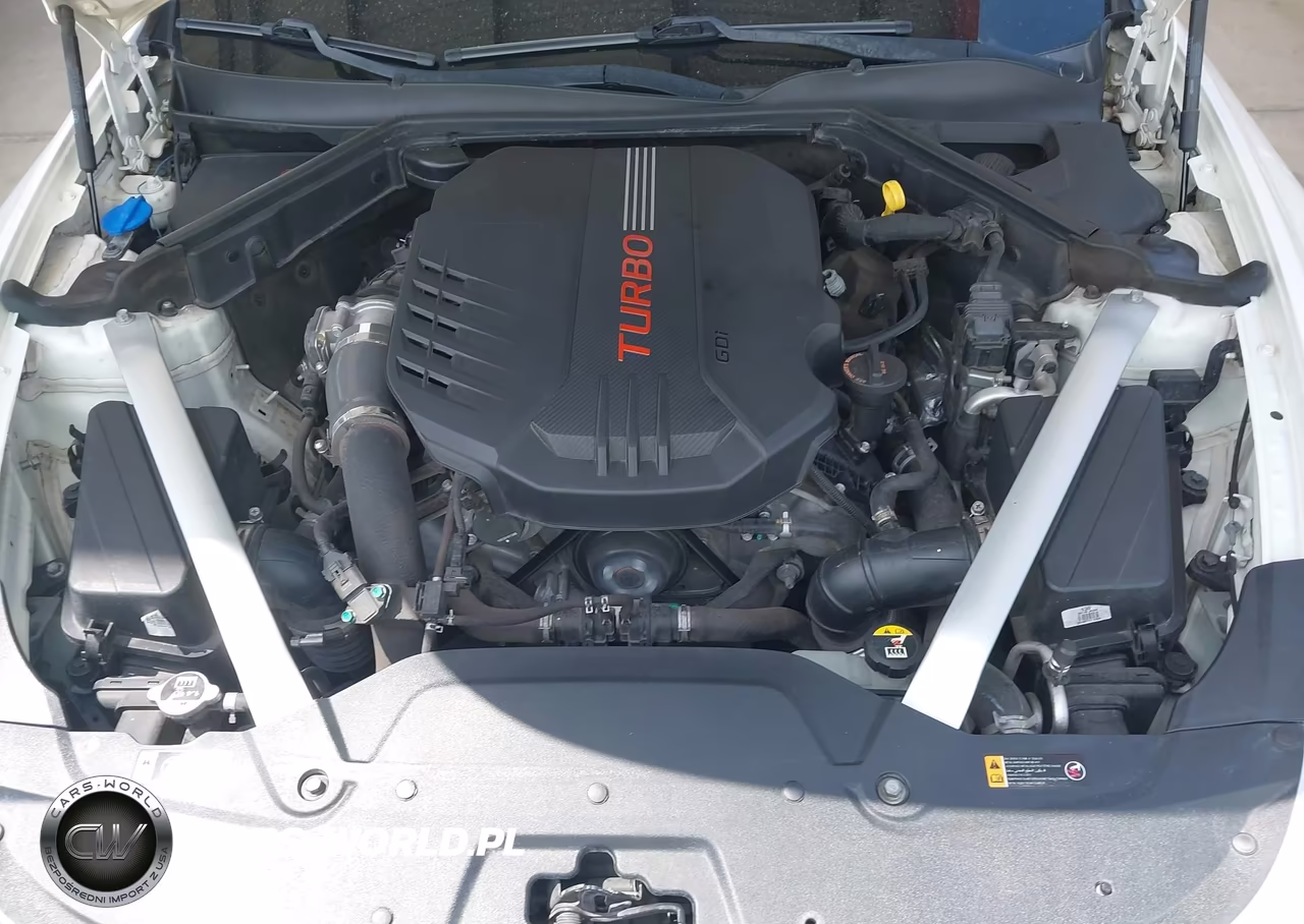 2019 Kia Stinger Gt VIN:KNAE35LC0K6045971 - 10