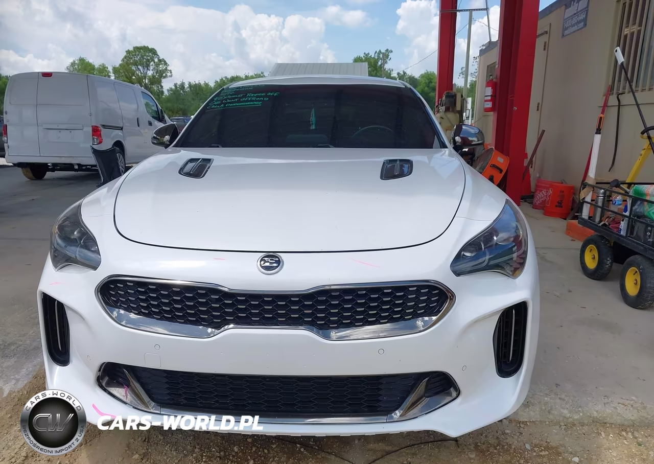 2019 Kia Stinger Gt VIN:KNAE35LC0K6045971 - 13