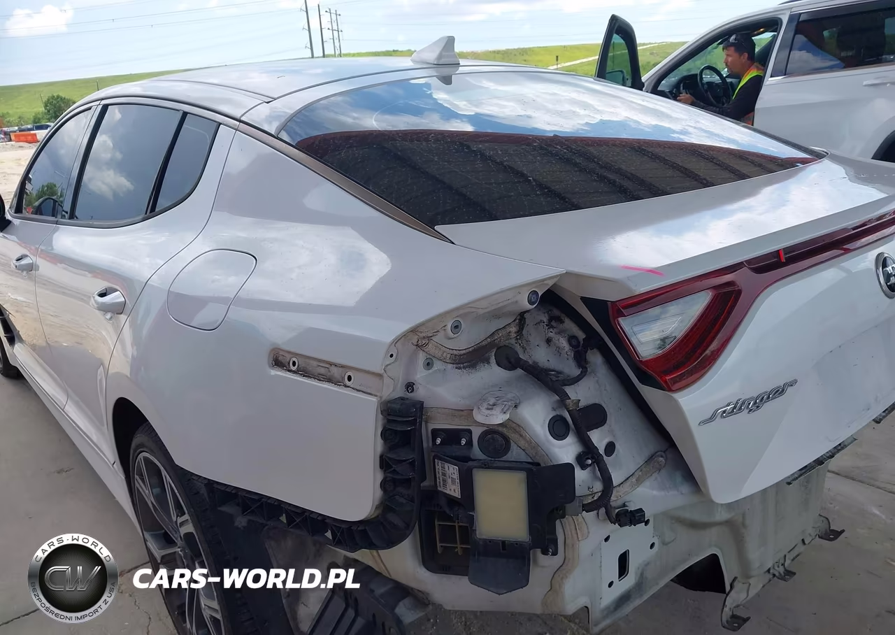 2019 Kia Stinger Gt VIN:KNAE35LC0K6045971 - 19