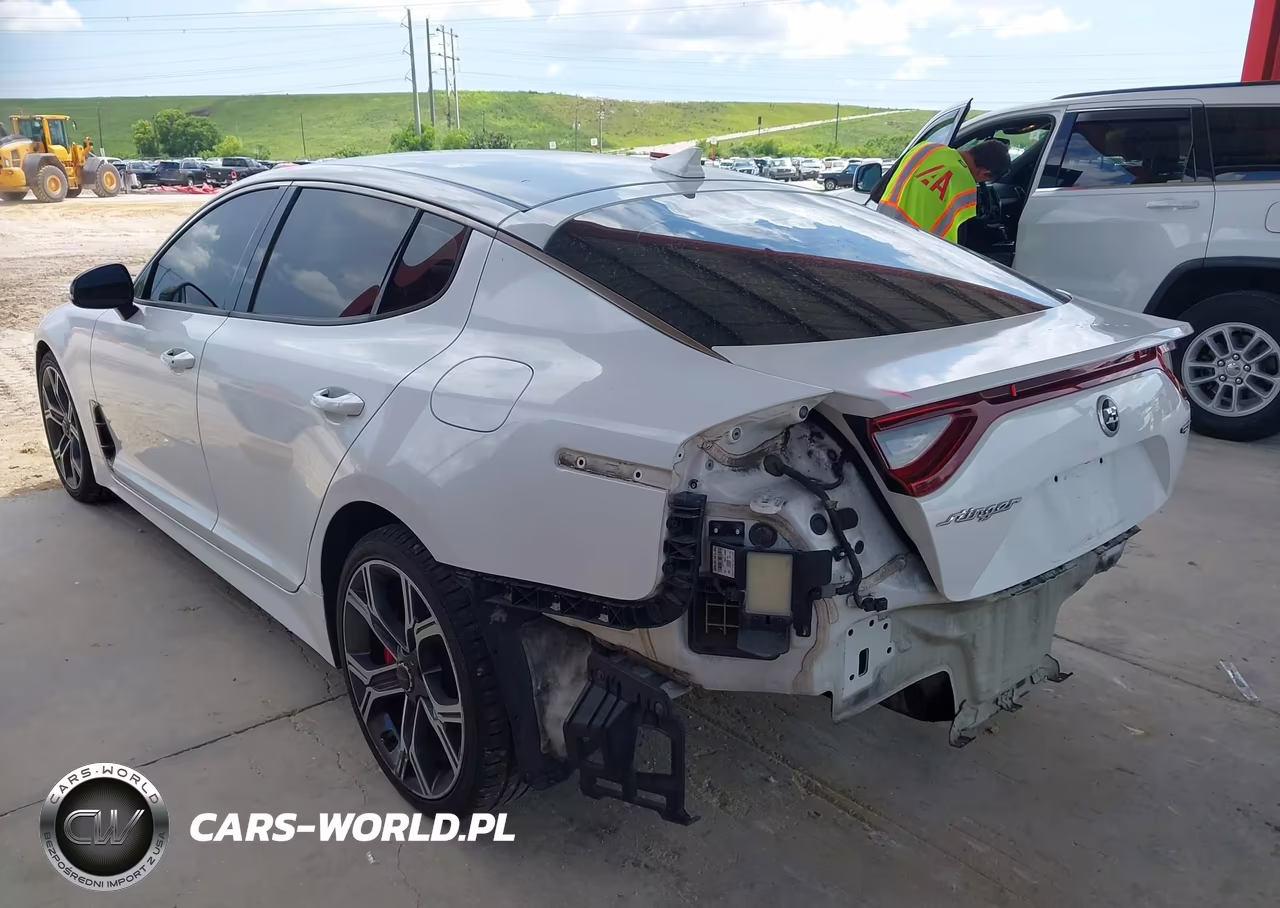 2019 Kia Stinger Gt VIN:KNAE35LC0K6045971 - 3