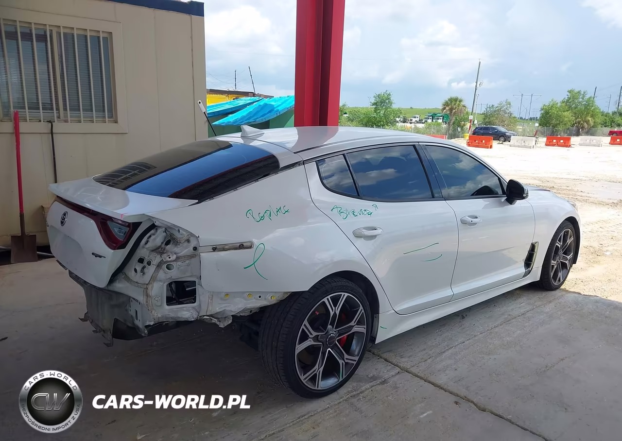 2019 Kia Stinger Gt VIN:KNAE35LC0K6045971 - 4