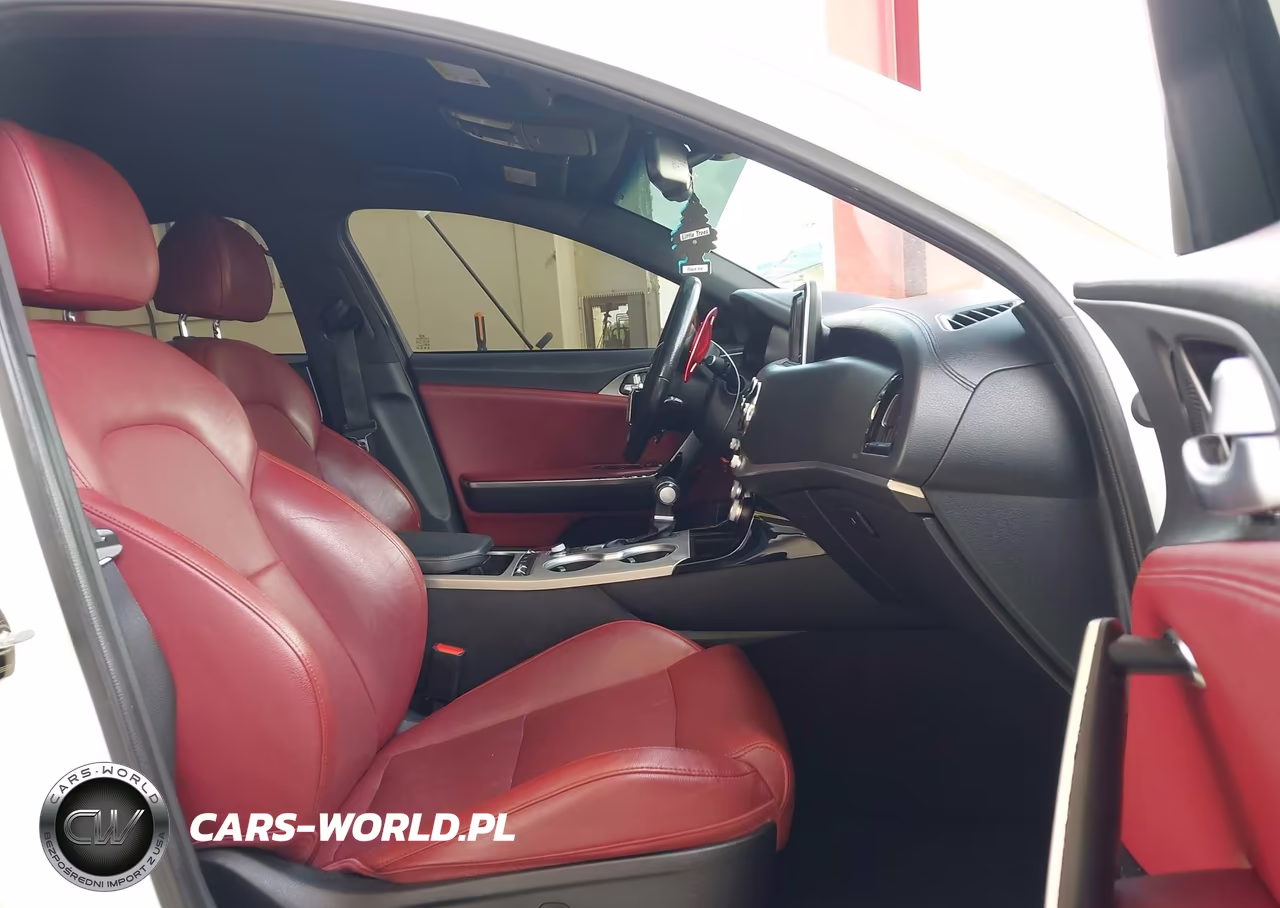 2019 Kia Stinger Gt VIN:KNAE35LC0K6045971 - 5