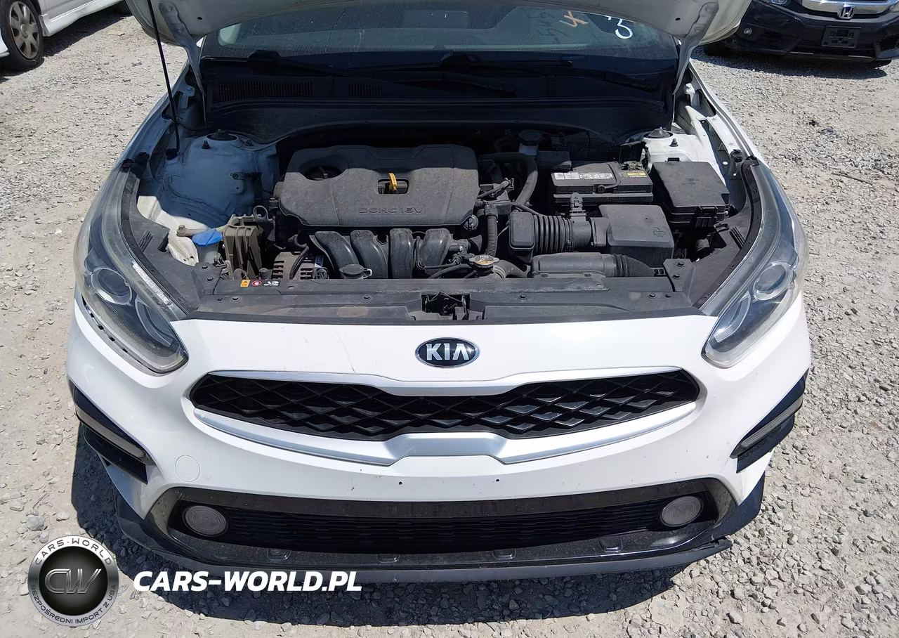 2019 Kia Forte Lxs VIN:3KPF24AD1KE134913 - 10
