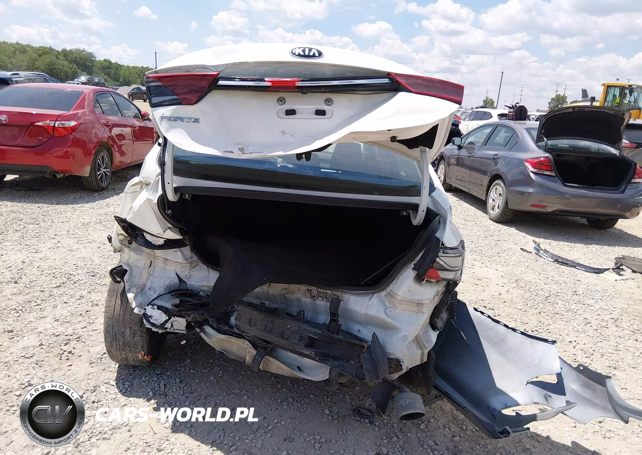 2019 Kia Forte Lxs VIN:3KPF24AD1KE134913 - 6