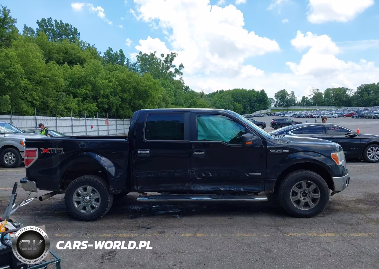 2011 Ford F-150 Fx4-King Ranch-Lariat-Platinum-Xlt VIN:1FTFW1ET9BFB36211 - 13