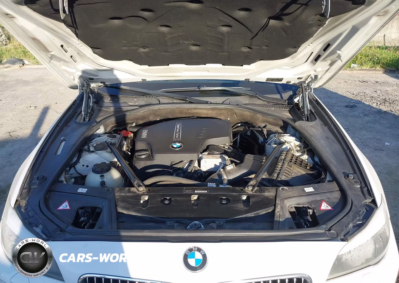 2013 BMW 528I xDrive VIN:WBAXH5C54DDW11933 - 10