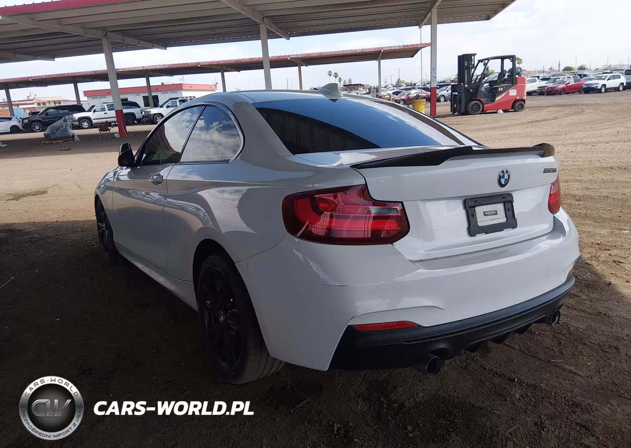 2016 BMW M235I VIN:WBA1J7C5XGV359822 - 19