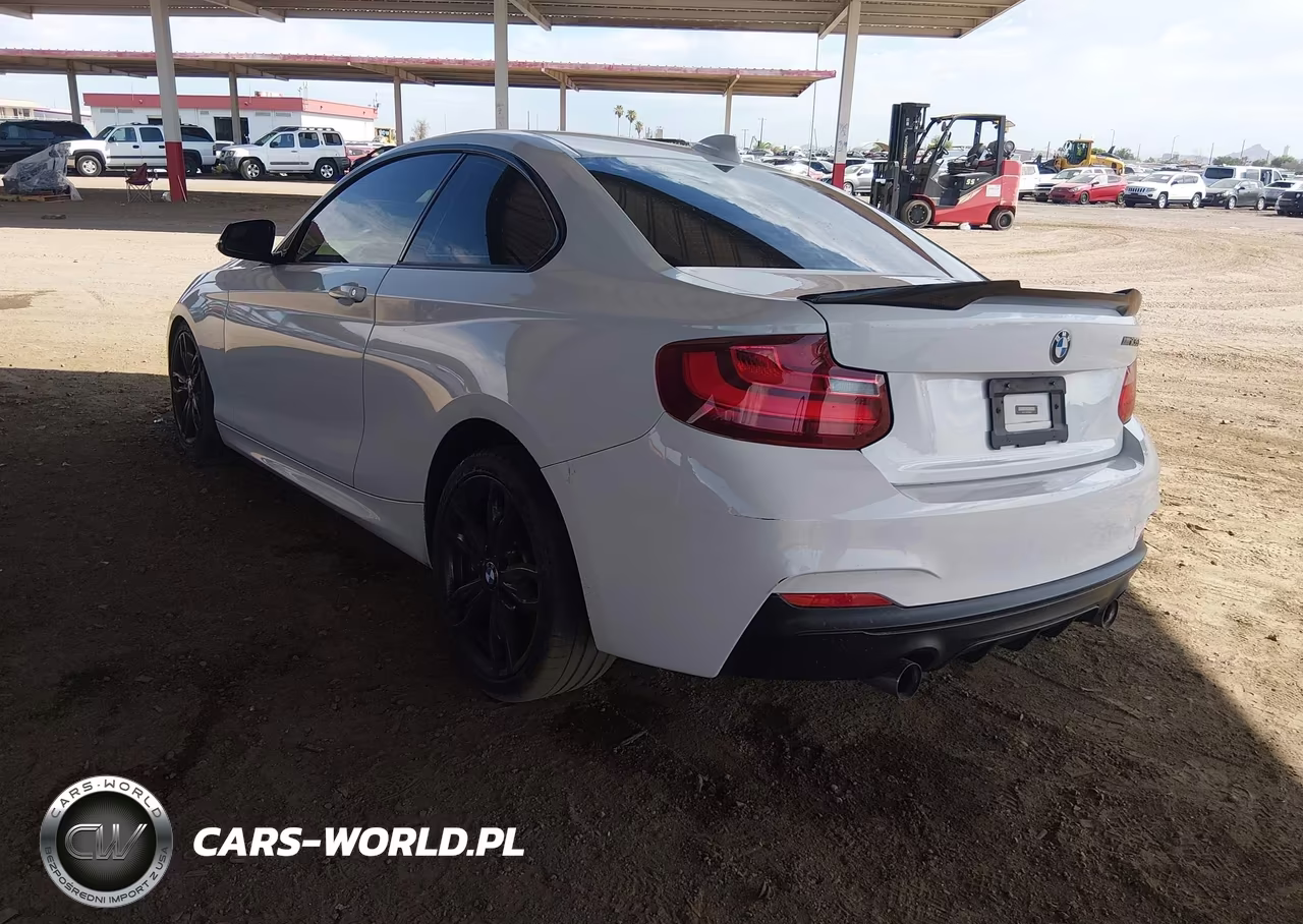 2016 BMW M235I VIN:WBA1J7C5XGV359822 - 3