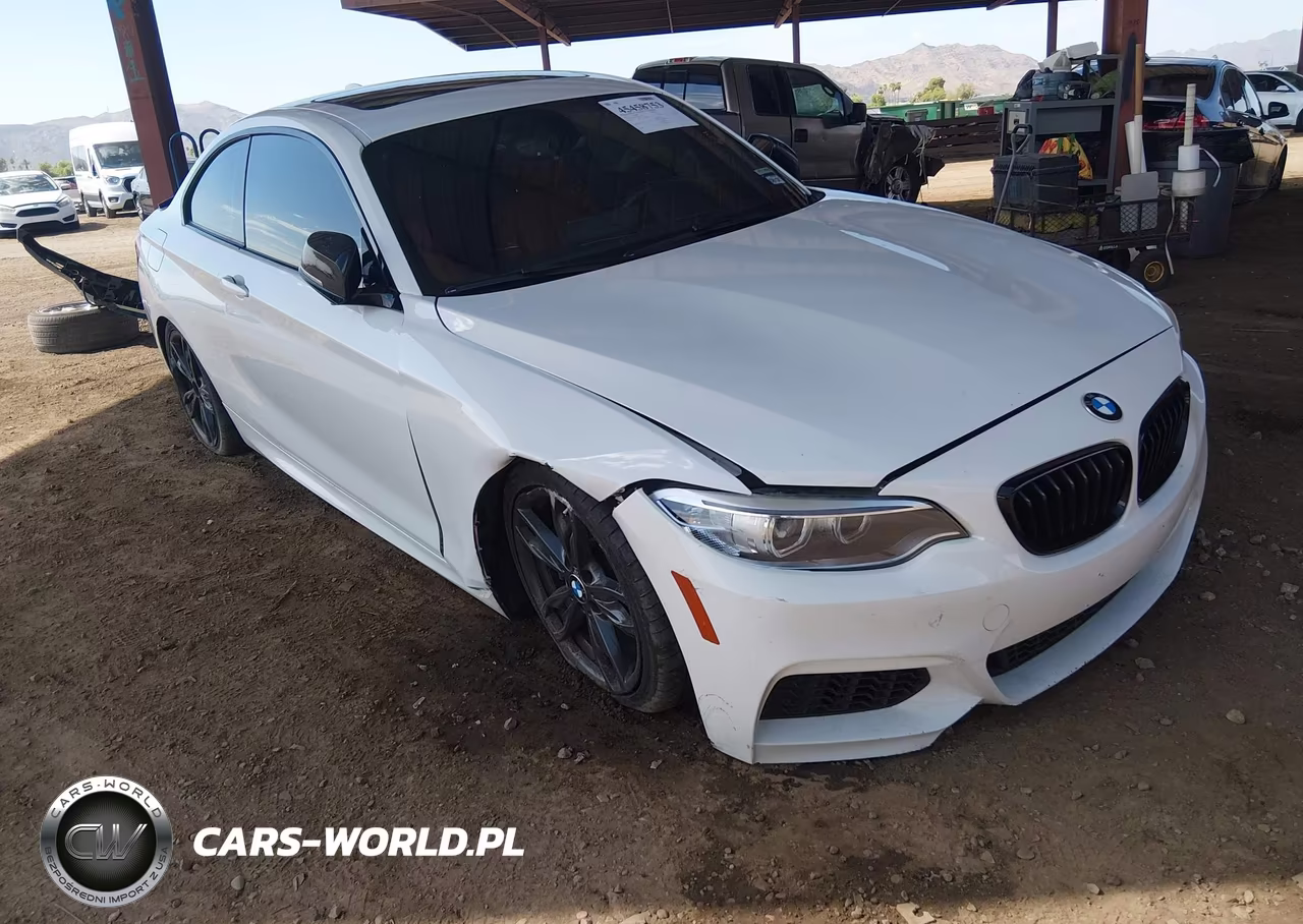 2016 BMW M235I VIN:WBA1J7C5XGV359822 - 6