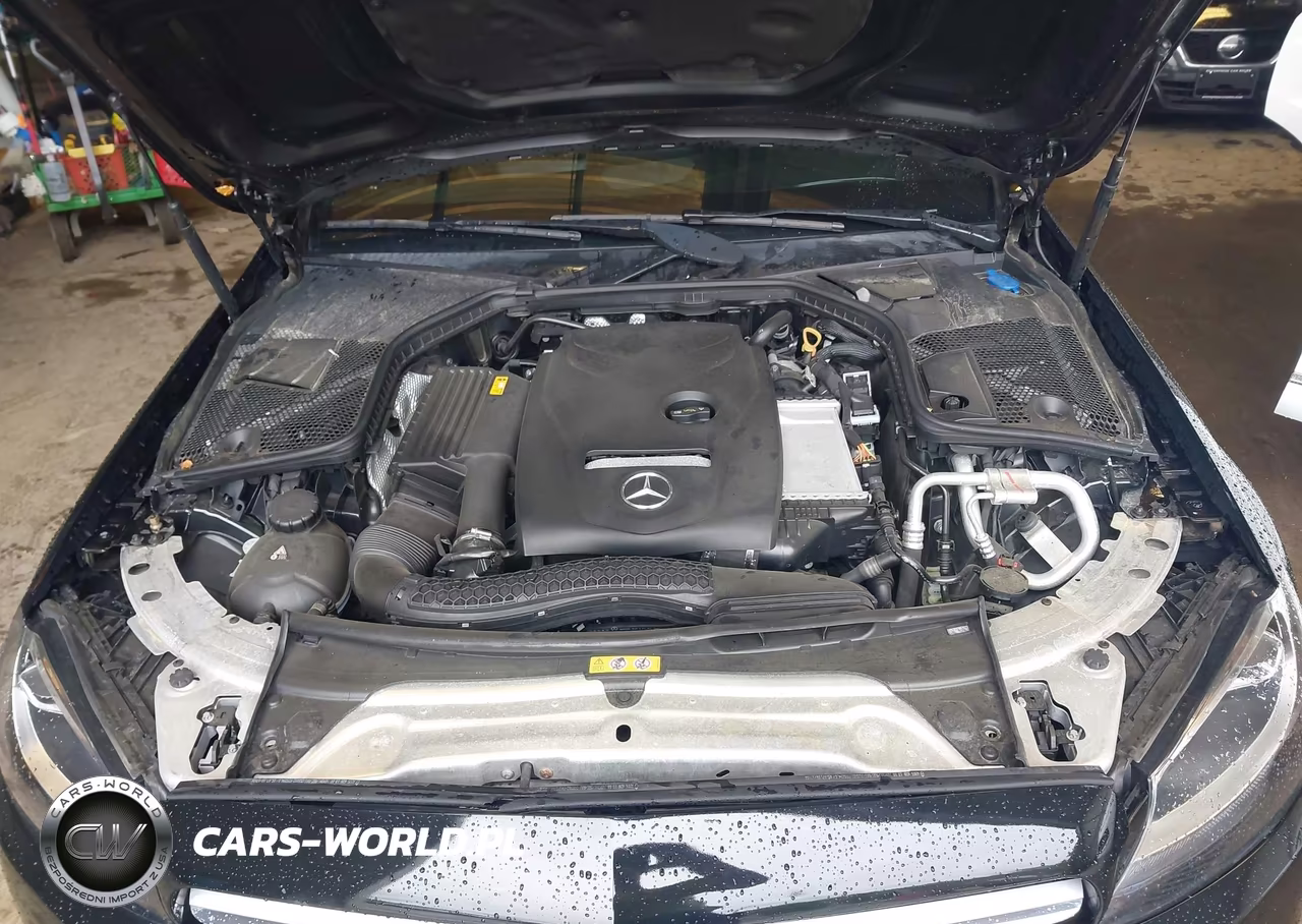 2018 Mercedes-Benz C 300 4Matic VIN:55SWF4KB3JU282246 - 10