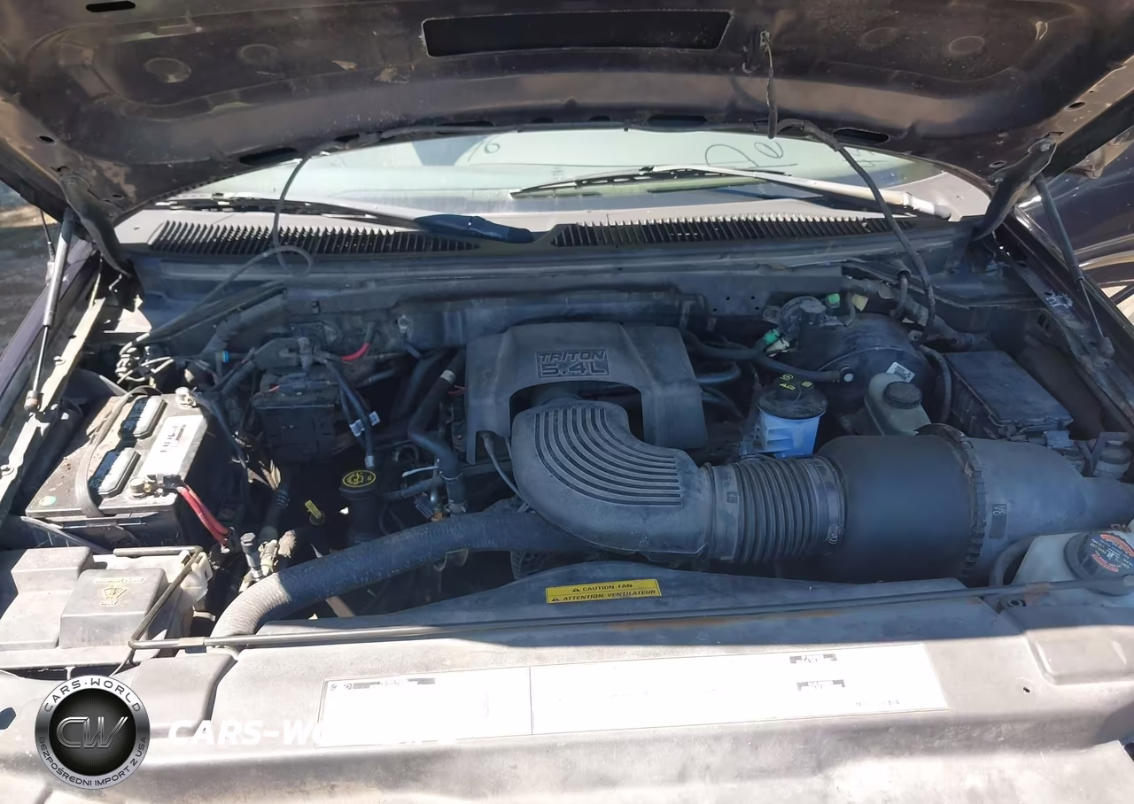 2000 Ford F-150 Lariat-Work Series-Xl-Xlt VIN:2FTRX18L2YCA43928 - 10
