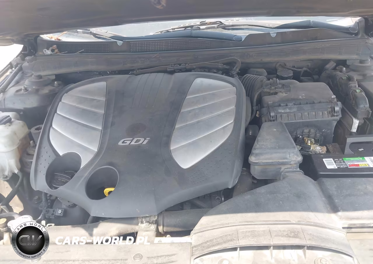 2014 Kia Cadenza Premium VIN:KNALN4D75E5144339 - 10