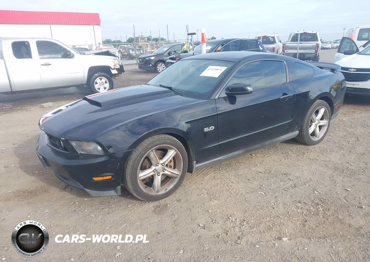 2011 Ford Mustang Gt Premium VIN:1ZVBP8CF9B5124712 - 2