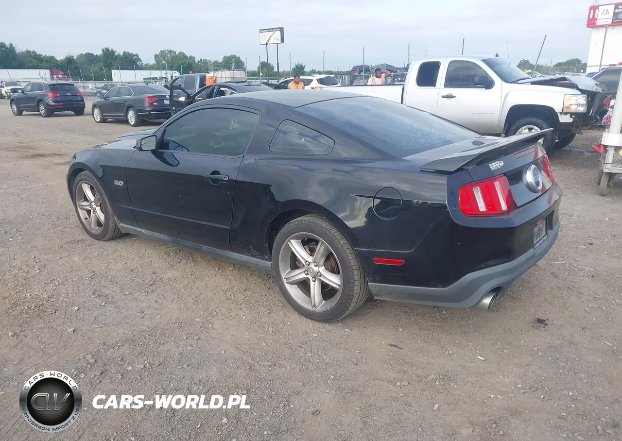 2011 Ford Mustang Gt Premium VIN:1ZVBP8CF9B5124712 - 3