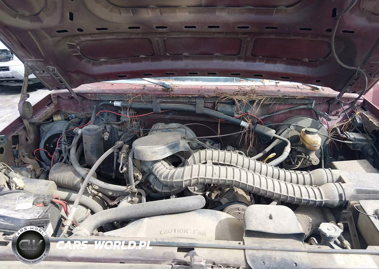 1993 Ford F150 VIN:1FTDF15N4PNB09746 - 10