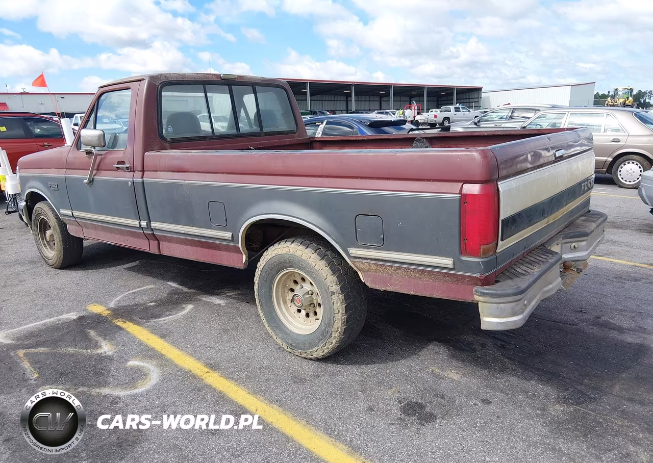 1993 Ford F150 VIN:1FTDF15N4PNB09746 - 3
