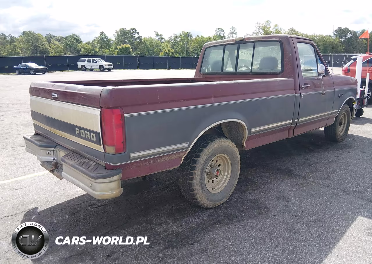 1993 Ford F150 VIN:1FTDF15N4PNB09746 - 4