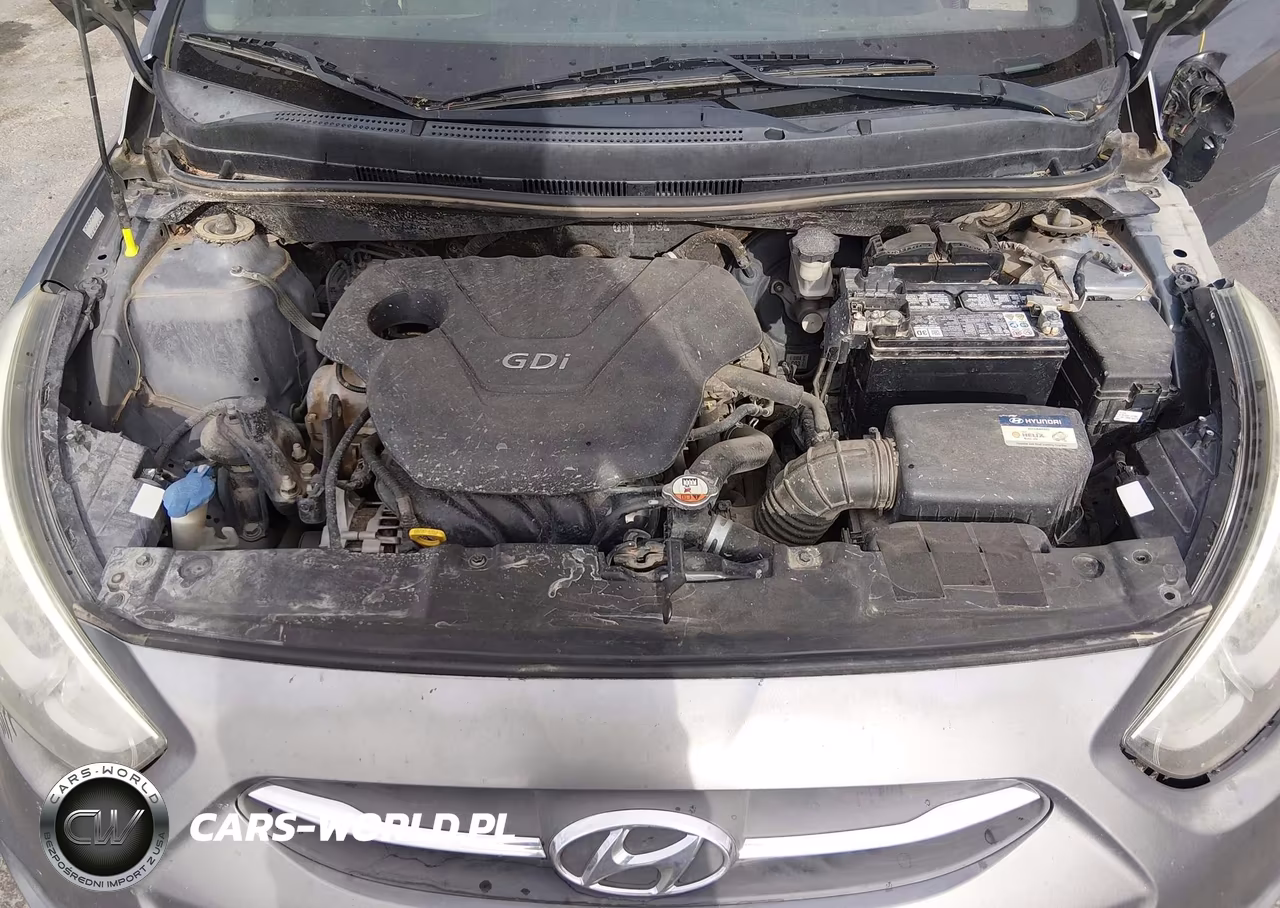2017 Hyundai Accent Se VIN:KMHCT5AE9HU301006 - 10