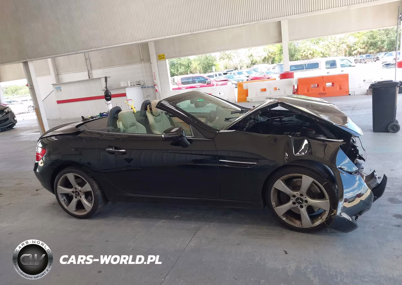 2012 Mercedes-Benz Slk 350 VIN:WDDPK5HA8CF014559 - 14