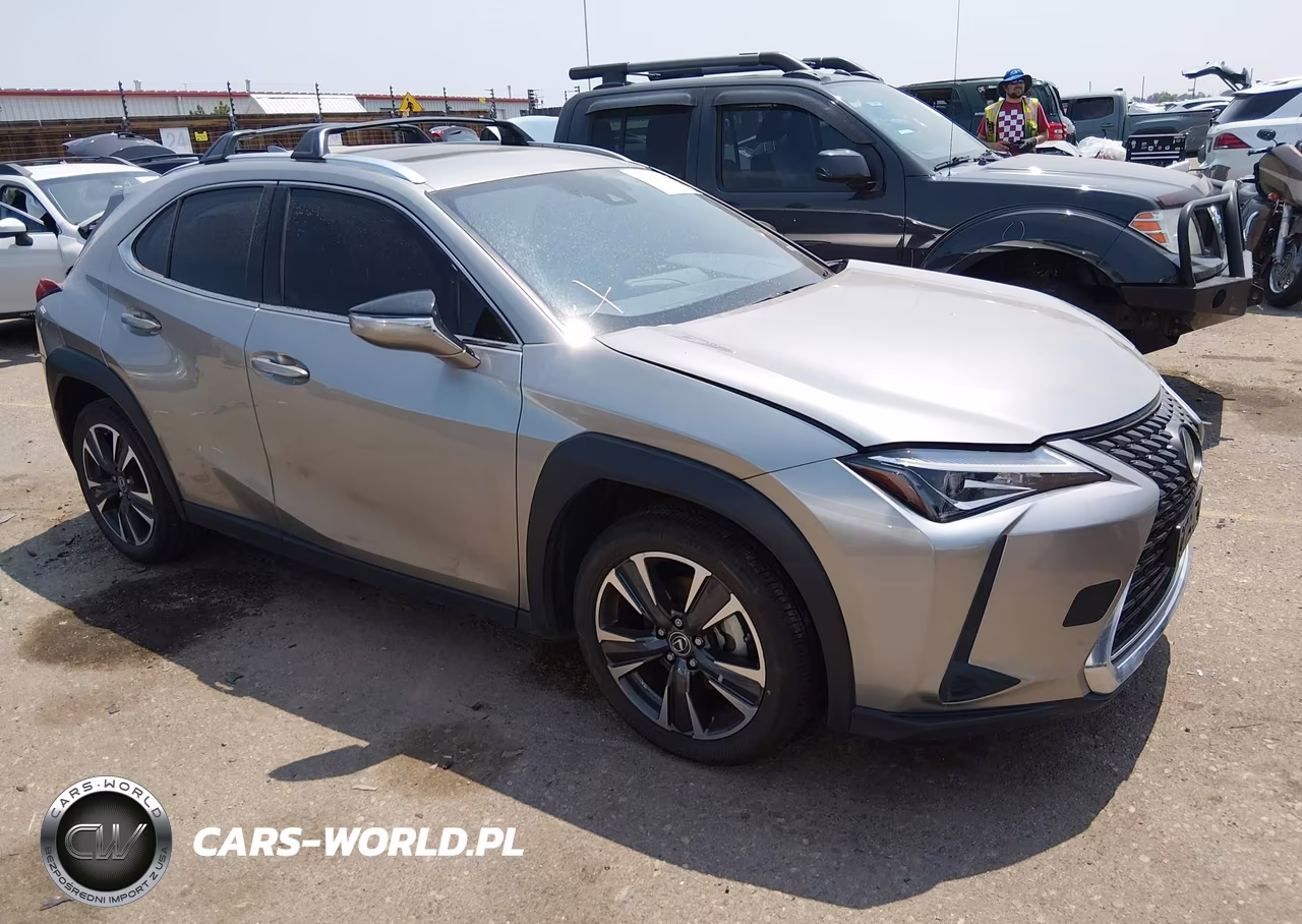 2019 Lexus Ux 200