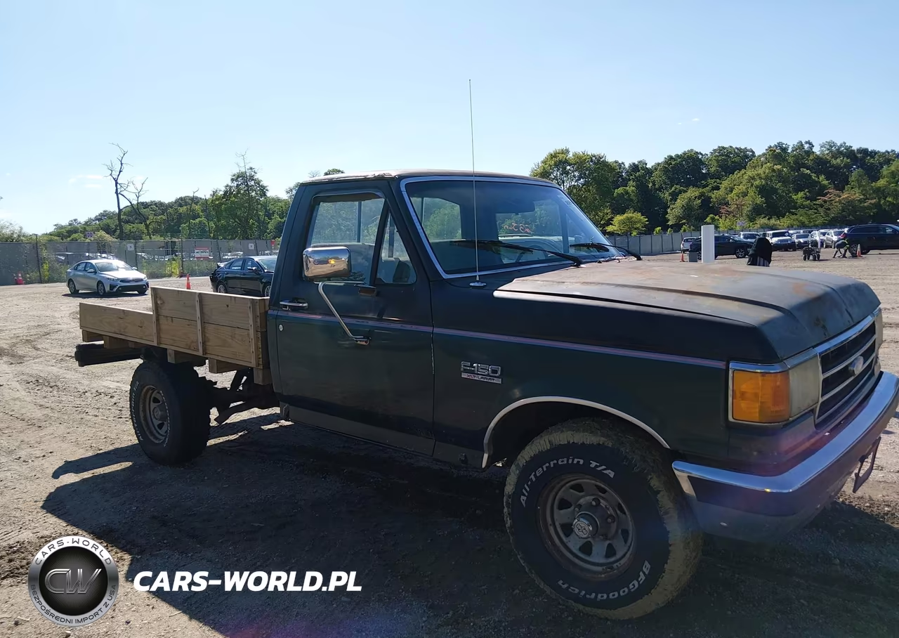 1991 Ford F150