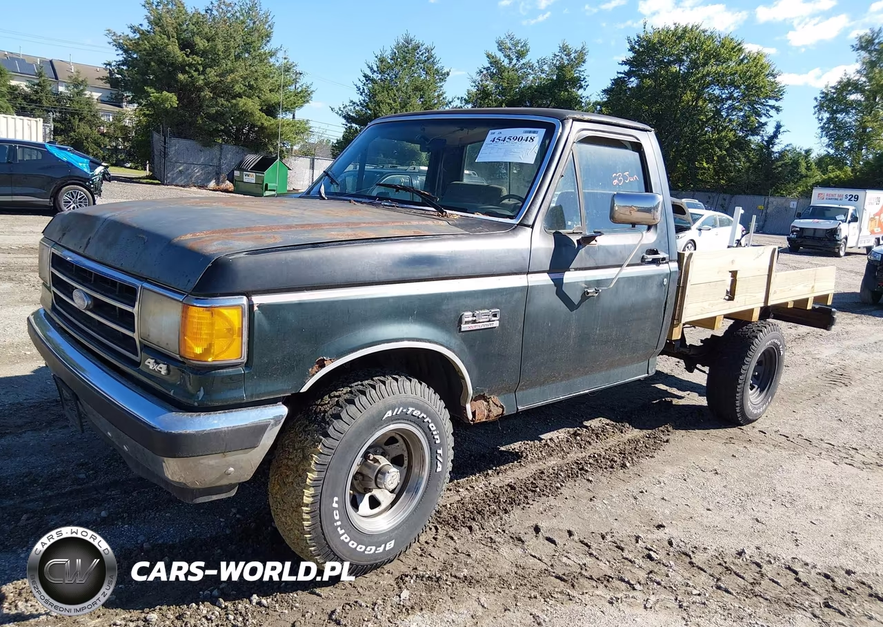1991 Ford F150 VIN:1FTEF14N1MNA18516 - 2