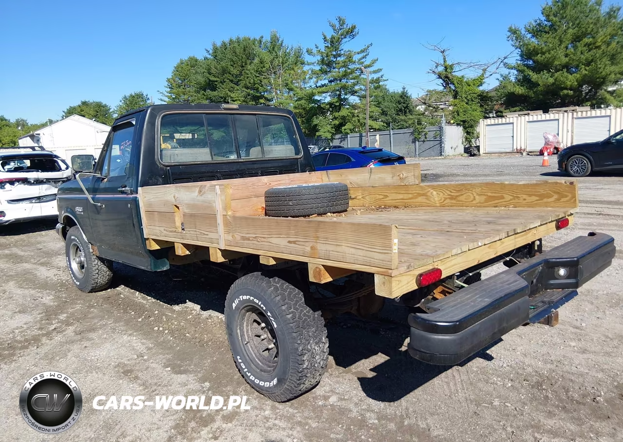 1991 Ford F150 VIN:1FTEF14N1MNA18516 - 3